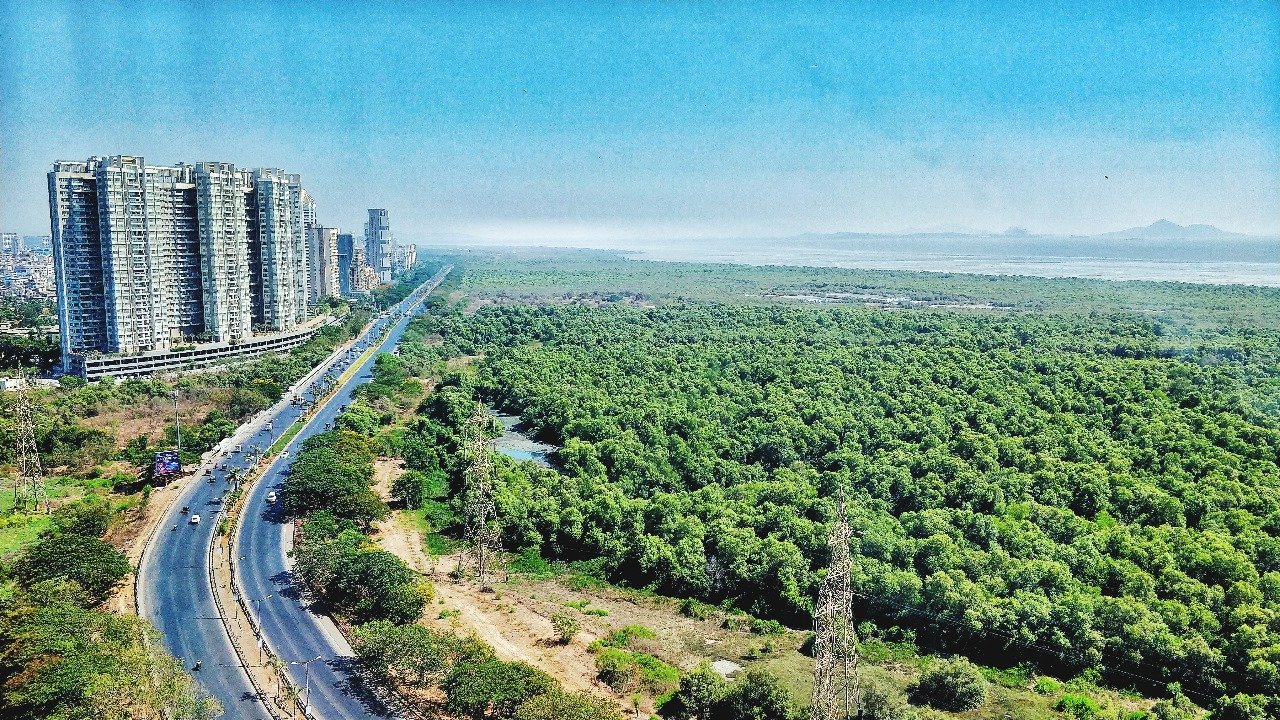 Residential Plots in Noida Sector 11