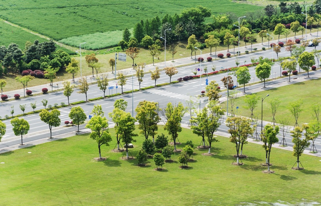 commercial plot in Gautam Buddha Nagar