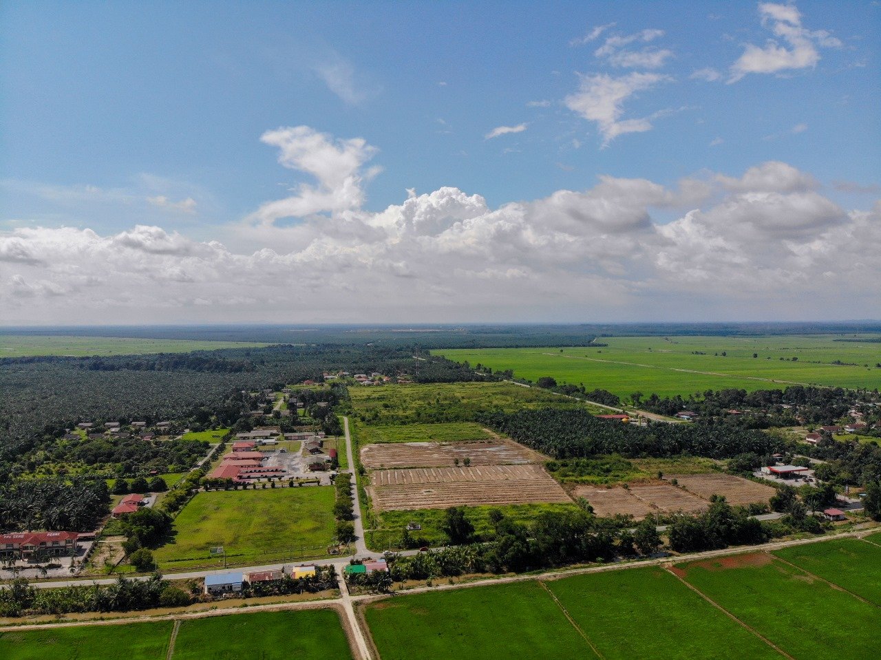 Commercial Plot in Noida Sector 17