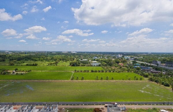 Commercial Plots Available in Sector 103