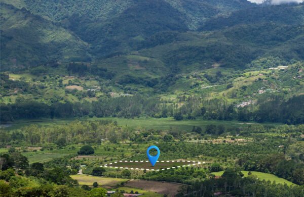 Commercial Plots in Sector 13