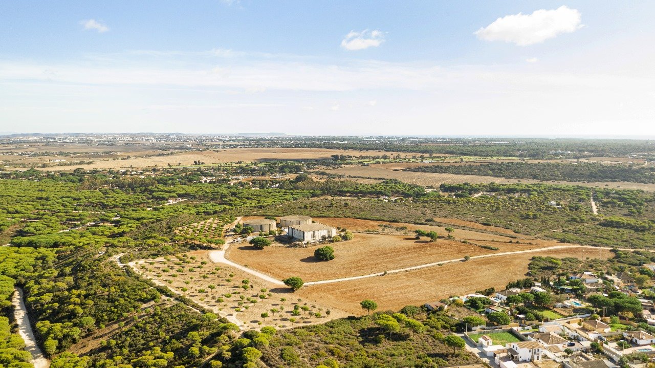 Residential Plots in Noida Sector 99