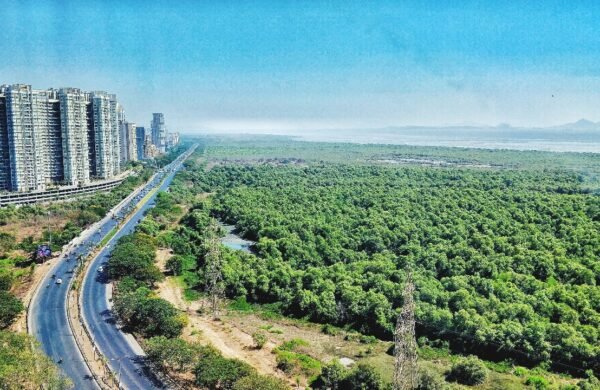Residential Plots in Noida Sector 99