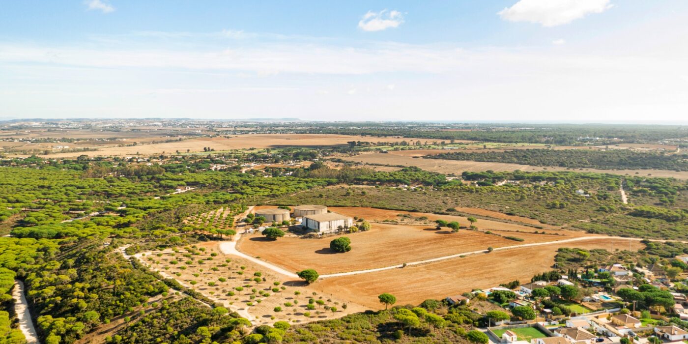 Commercial Plot in Noida Sec 142