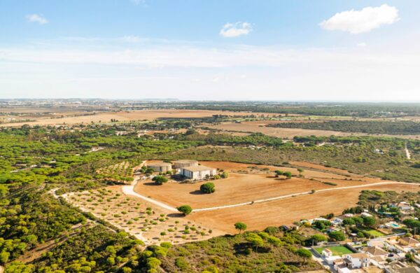 Commercial Plot in Noida Sec 142