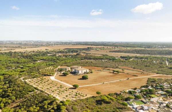 Commercial Plots in Sohna Sector 34