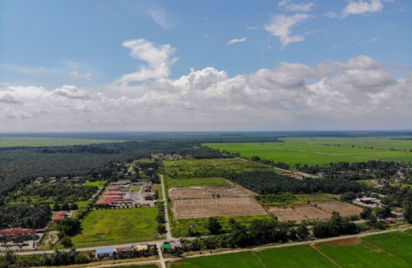 Buy Commercial Plot in Sector 64, Noida