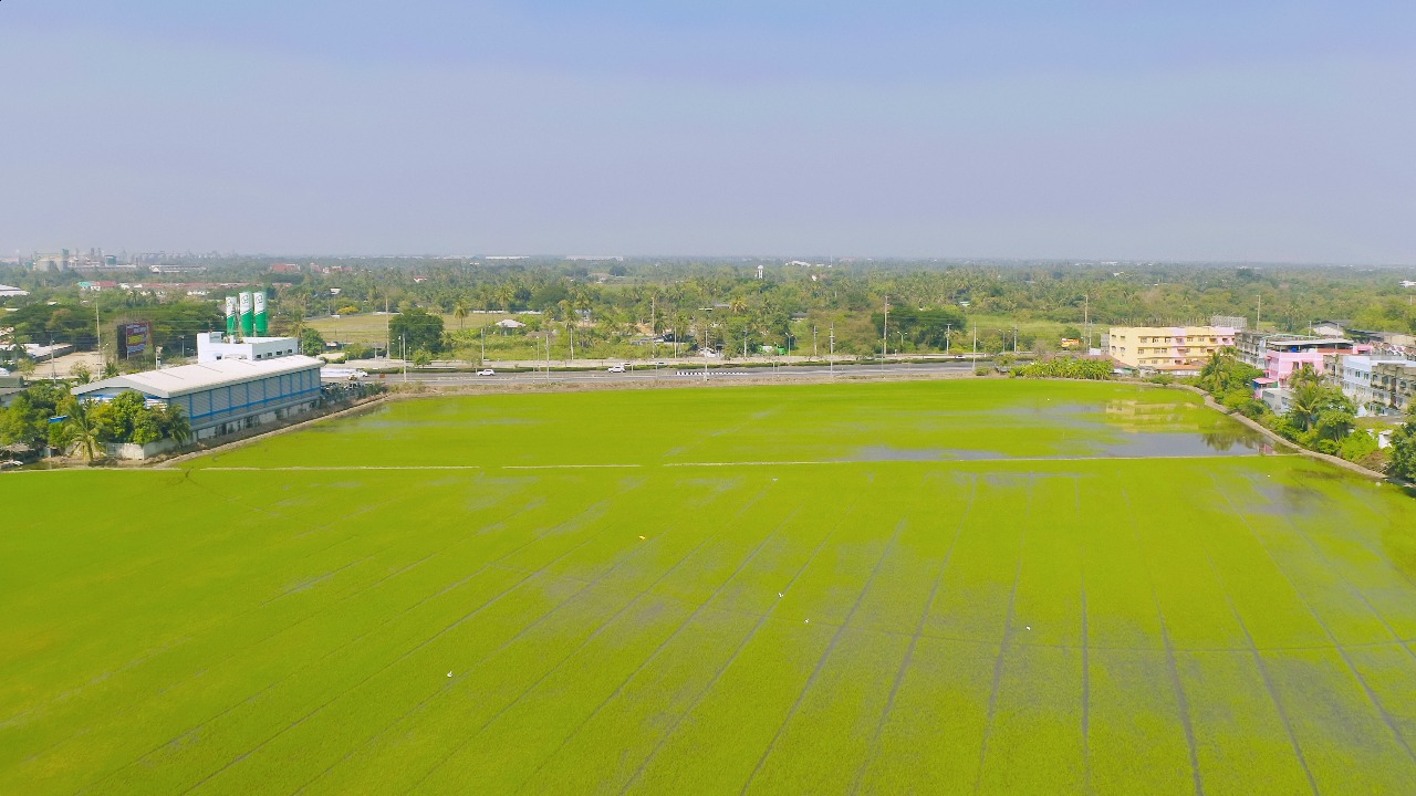 Buy Commercial Plot in Sector 64, Noida