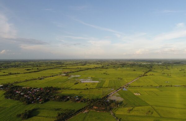 Commercial Plots in Sector 94 Noida