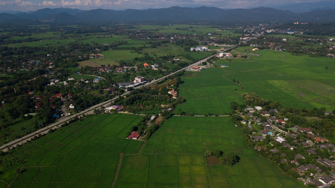 Residential Plot in Sector 1