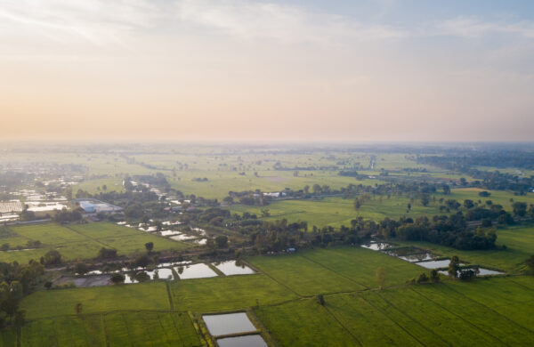 Residential Plot in Sector 168 Noida