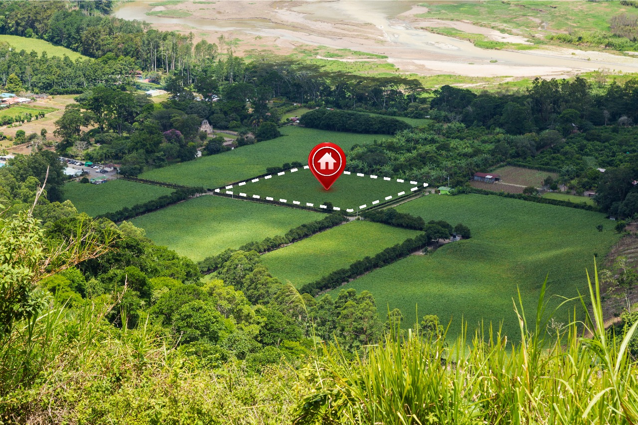 Residential Plot in Sector 93 Noida