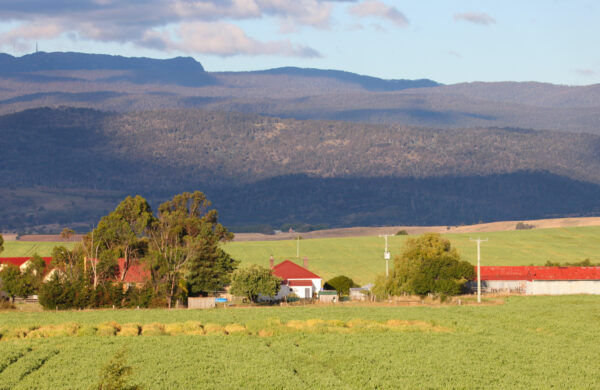 Buy Farmhouse in Sector 96 Gurugram