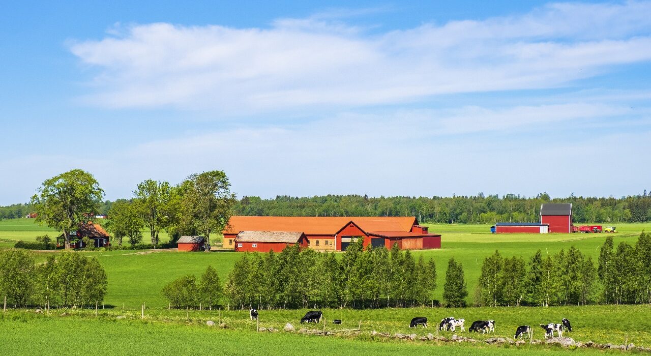 farmhouse in Sector 144 Noida