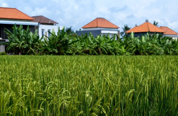 Buy Farmhouse in Noida Sector 112