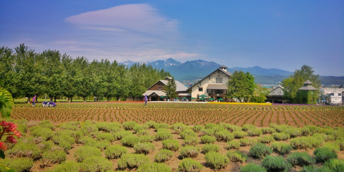 Buy Farmhouse in Sector 85 Noida