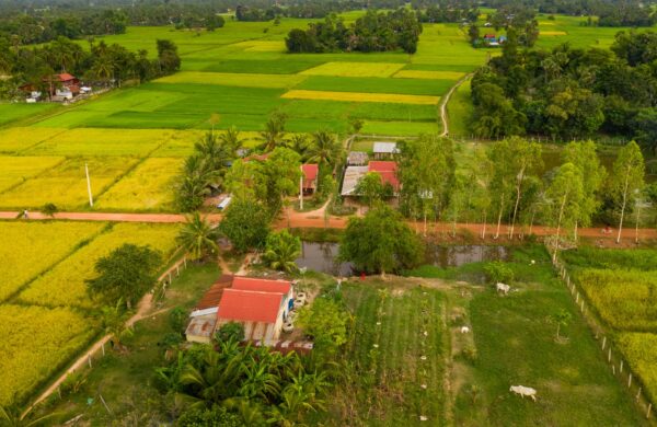 Farmhouse in Noida Sector 130