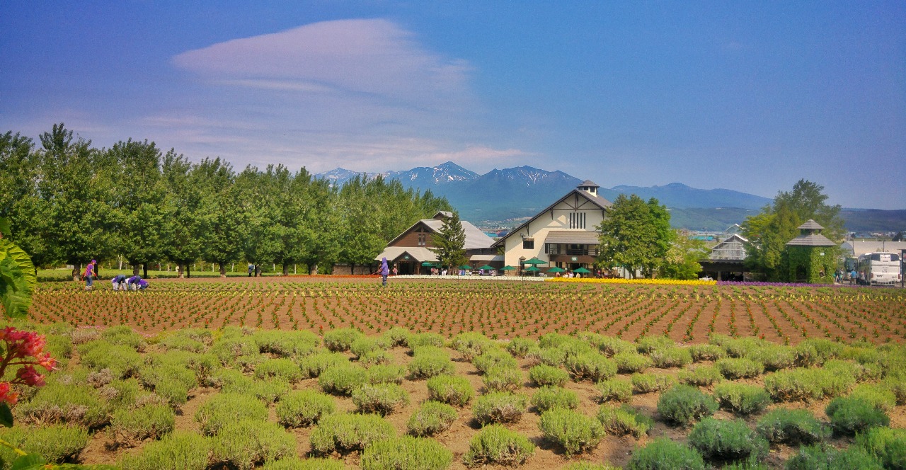 Farmhouse in Sector-103 Gurugram