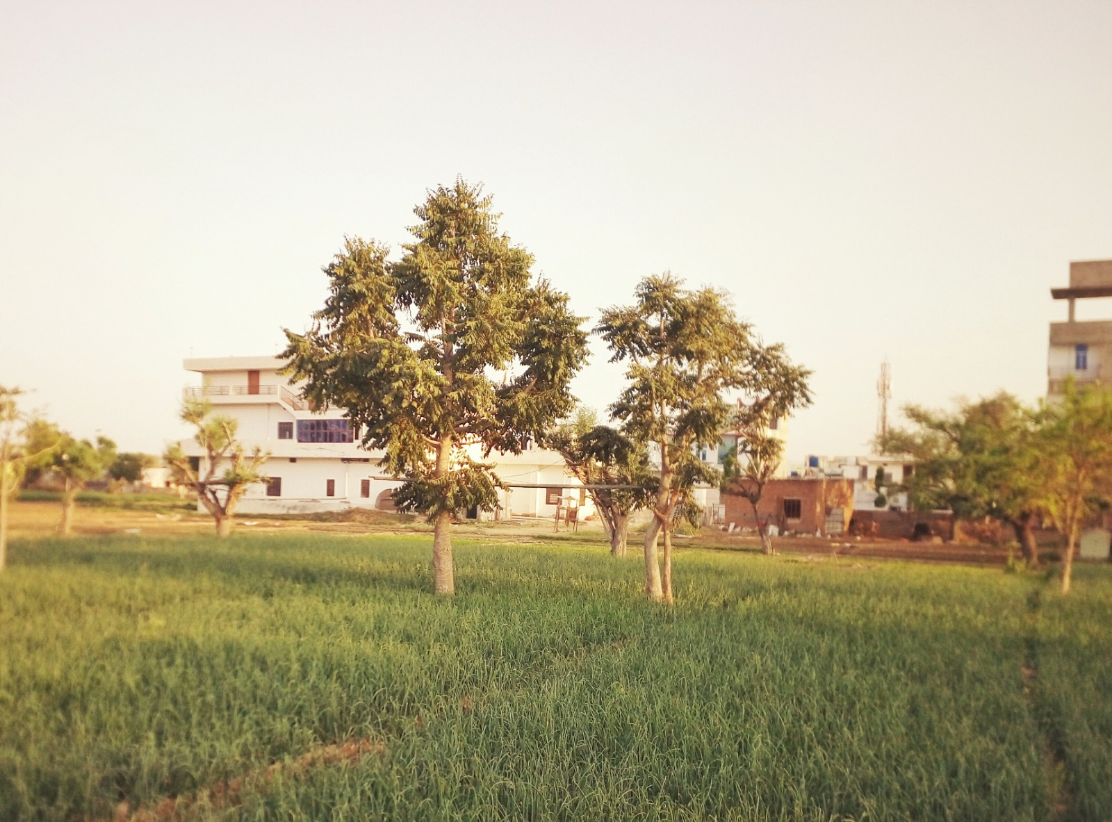 farmhouse in Sector 67 Gurugram