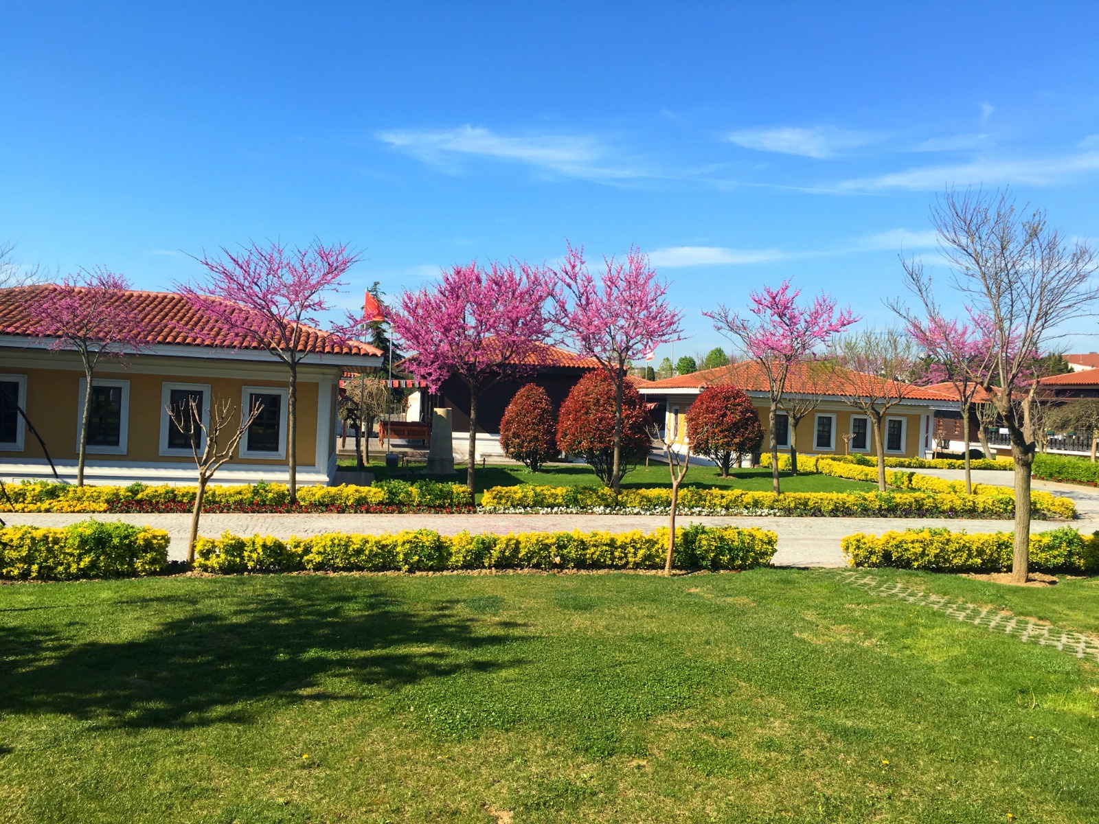 Farmhouse in Sector 71 Gurugram