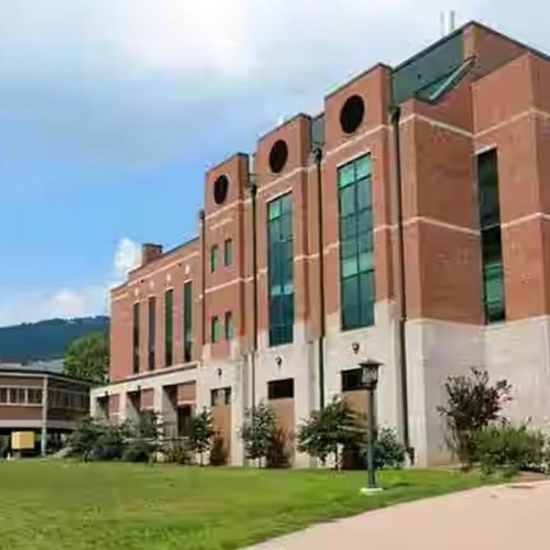 bihari-lal-inter-college (1)