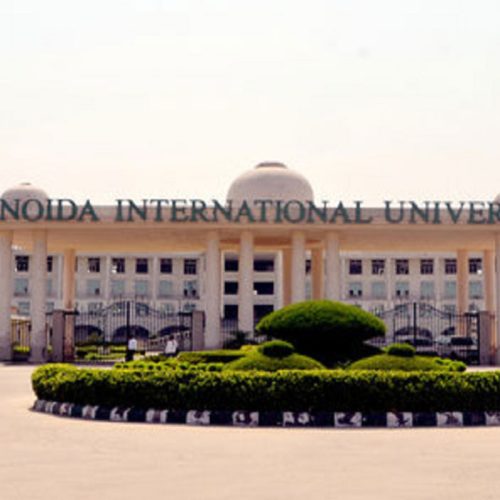 noida-international-university